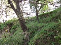 cantara gurne23122011 082